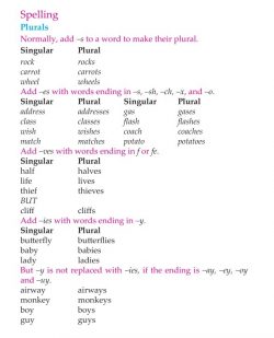 3rd Grade Grammar Homophones Synonyms Antonyms Prefixes Suffixes (4).jpg